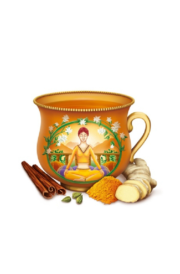 Infusion Chaï Curcuma sachet 17 x 1.8g BIO