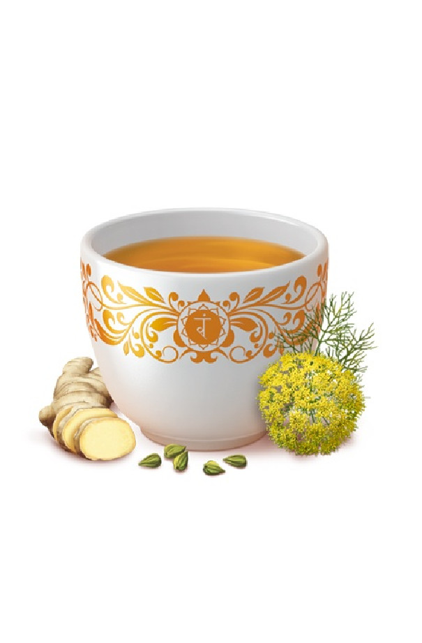 Infusion Digestion sachet 17 x 1.8g BIO