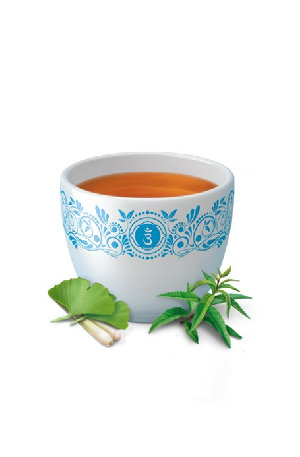 Infusion Ginkgo sachet 17 x 1.8g BIO