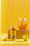 Thé glacé rooïbos citron canette 12x250ml BIO