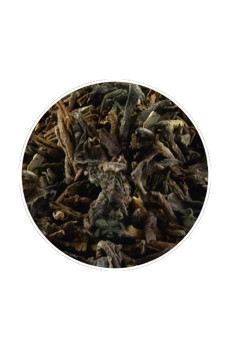 Thé noir Darjeeling First Flush poche vrac 250g