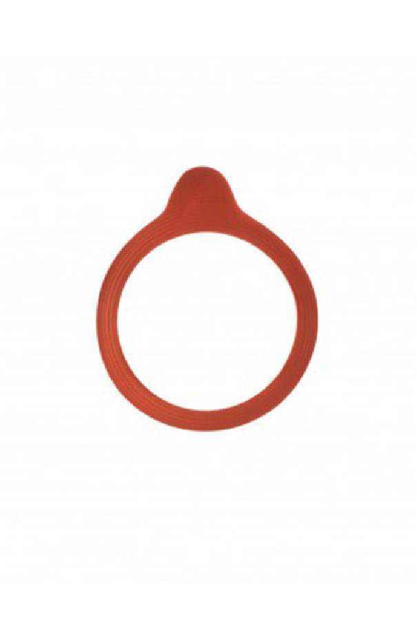 WECK - JOINT ETANCHEITE Ø60MM x10