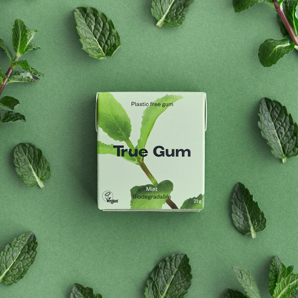 TRUE - CHEWING-GUM MENTHE VERTE SANS SUCRES PRÉSENTOIR 21G x24 TRUE - CHEWING-GUM MENTHE VERTE SANS SUCRES PRÉSENTOIR 21G x24