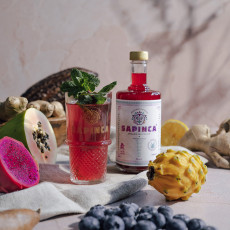 SAPINCA - FRUIT ELIXIR GINGEMBRE ET FRUITS BOUTEILLE VERRE 495ML BIO