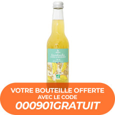 ATIKA - KOMBUCHA CITRON GINGEMBRE 330ML x12 BIO