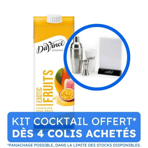 DAVINCI GOURMET - SMOOTHIE FRUITS EXOTIQUES BRIQUE 1L