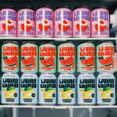 Living Things - Soda prébiotique pétillant framboise grenade 330ml x12