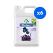 BOBOQ - SIROP MYRTILLE BIDON 2.5KG