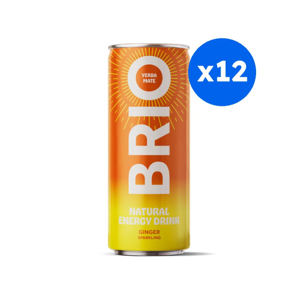 BRIO MATE - MATE GINGEMBRE CANETTE 250ML x12 BIO