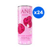 JANE - BEAUTY BOISSON COLLAGENE FRAMBOISE SUREAU 250ML x24