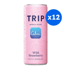 TRIP - EAU PETILLANTE FRAISE DES BOIS MINDFUL BLEND CANETTE ALU 330ML x12
