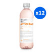 VITAMIN WELL - ANTIOXYDANT PECHE BOUTEILLE PET 500ML x12
