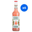 MONIN - PURE FRUITS ROUGES CONCENTRE BOUTEILLE VERRE 700ML