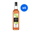 ROUTIN - SIROP SAVEUR GINGER ALE 1L BOUTEILLE VERRE