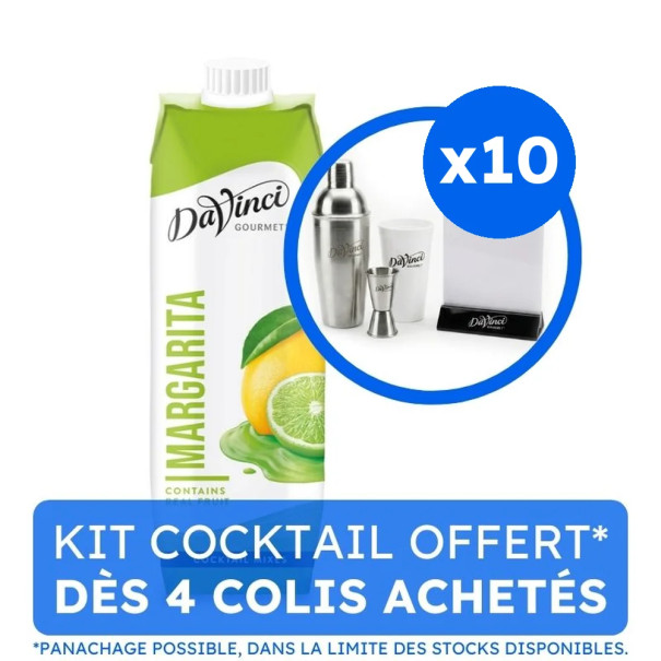 DAVINCI GOURMET - COCKTAIL MIX MARGARITA BRIQUE 1L x10