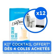 DAVINCI GOURMET - ICE CREAM BASE FRAPPE ET MILKSHAKE BRIQUE 1L x12