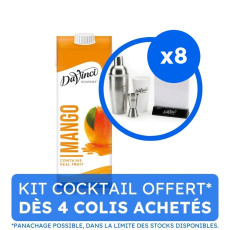 DAVINCI GOURMET - SMOOTHIE MANGUE BRIQUE 1L