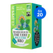 CLIPPER - THE VERT MENTHE 1.75G x20 BIO