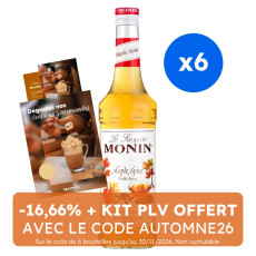 MONIN - SIROP MAPPLE SPICE 700ML BOUTEILLE VERRE