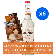 MONIN - SIROP SUCRE DE CANNE 700ML BOUTEILLE VERRE