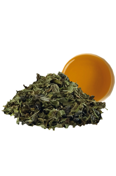 Luxury tea sachet recharge gunpowder mint Luxury tea sachet recharge gunpowder mint