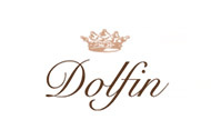 Image de l'entete de la page DOLFIN