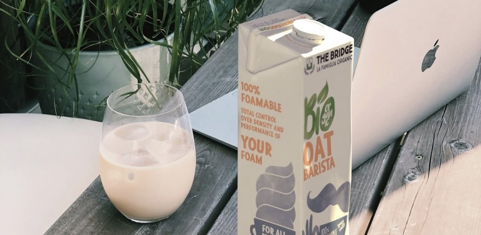 Boissons végétales bio : pourquoi choisir The Bridge pour votre établissement ?