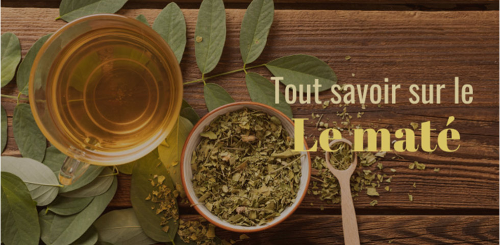 Maté : Tout savoir sur cette infusion énergisante