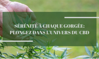 Sérénité à Chaque Gorgée: Plongez Dans l'Univers du CBD Sérénité à Chaque Gorgée: Plongez Dans l'Univers du CBD