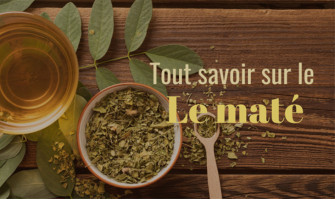 Maté : Tout savoir sur cette infusion énergisante Maté : Tout savoir sur cette infusion énergisante